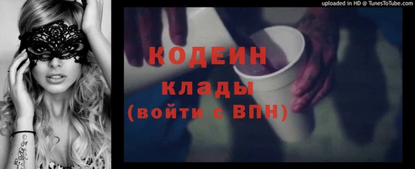 мдпв Краснослободск