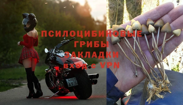 ALPHA-PVP Алексин