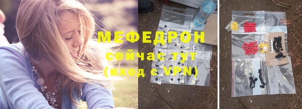мдпв Краснослободск