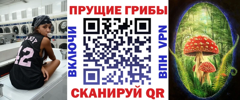 где купить наркотик  Тюмень  kraken зеркало  Псилоцибиновые грибы Psilocybine cubensis 
