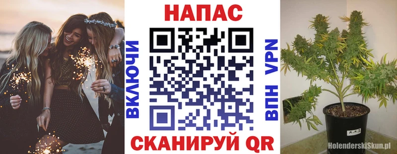 Канабис OG Kush  маркетплейс официальный сайт  Тюмень  цена  
